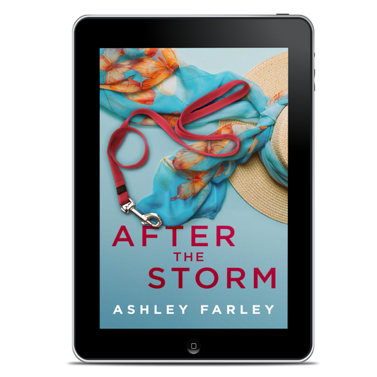 After the Storm (eBook)